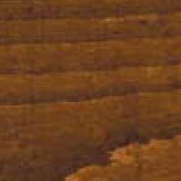 Legno--Tinto Noce 2 Mani Vernice F5