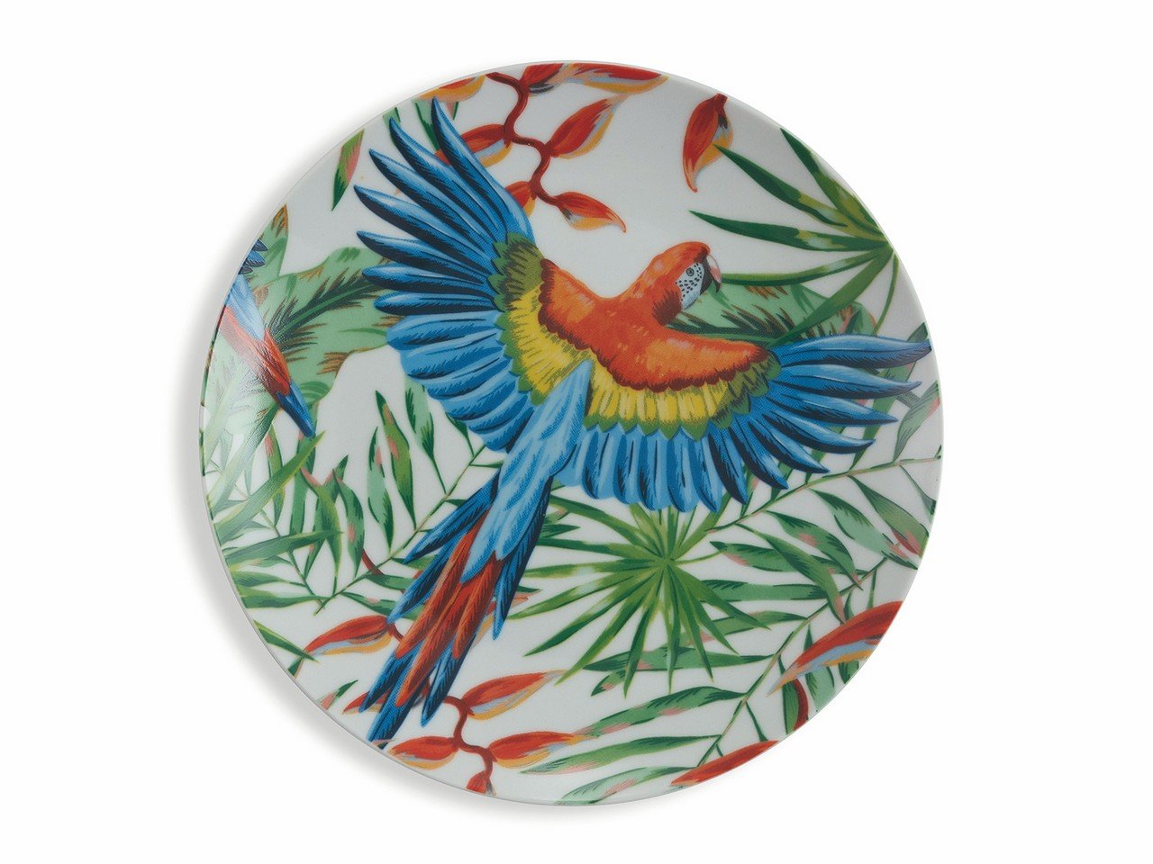 Servizio tavola Parrot Jungle 18 pezzi in porcellana -19