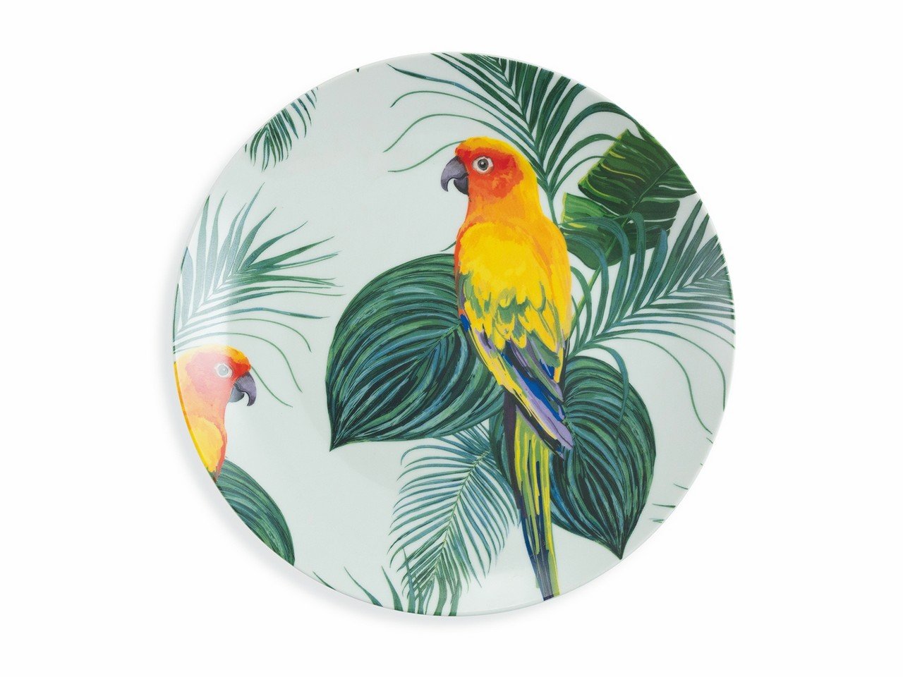 Servizio tavola Parrot Jungle 18 pezzi in porcellana -24