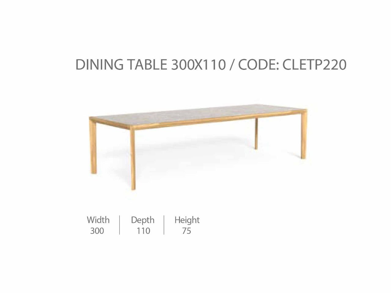 Tavolo da Pranzo 300x110 CleoSoft/Wood - 1