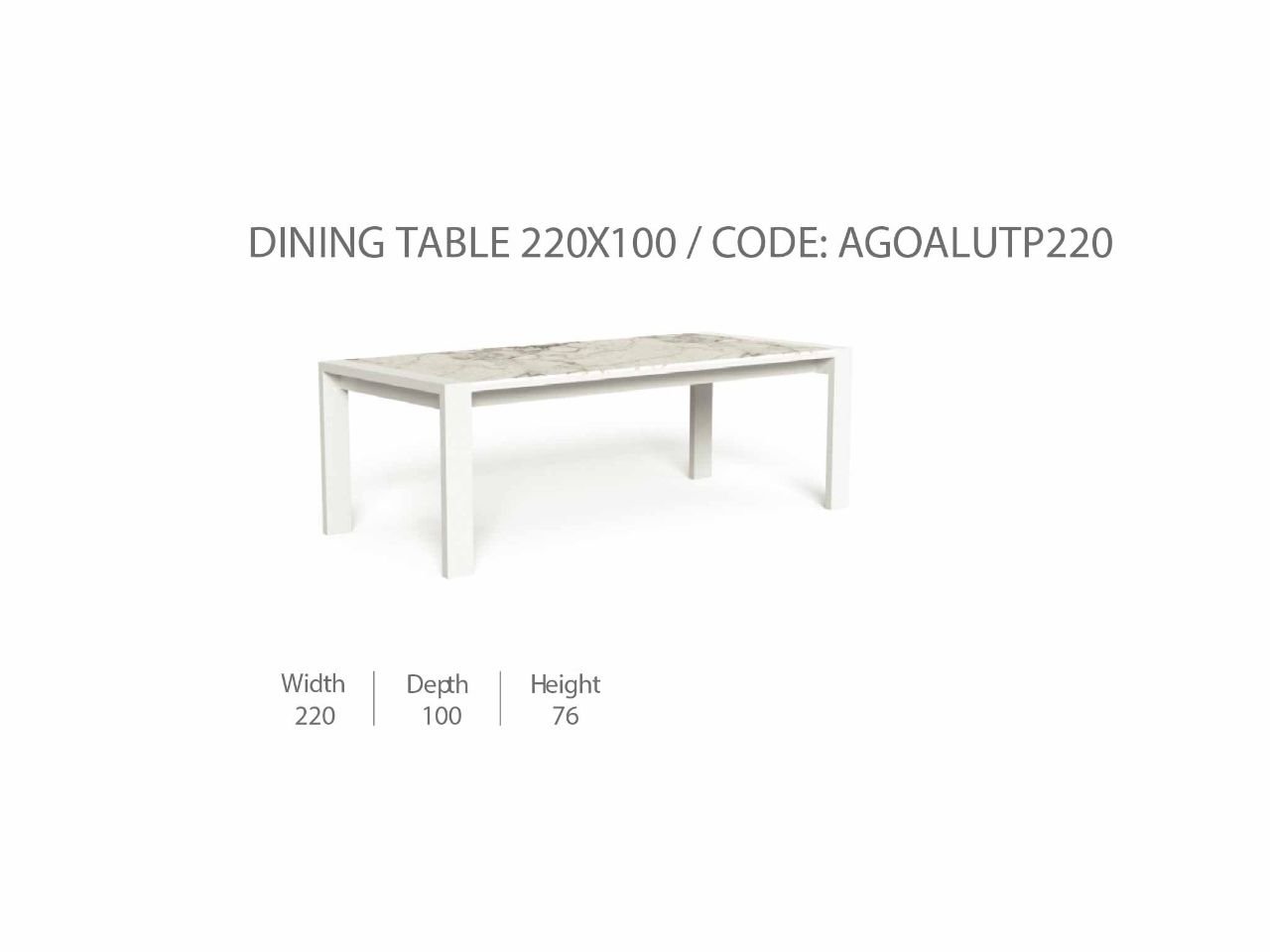 Tavolo da Pranzo Argo/Alu 220x100 - 1